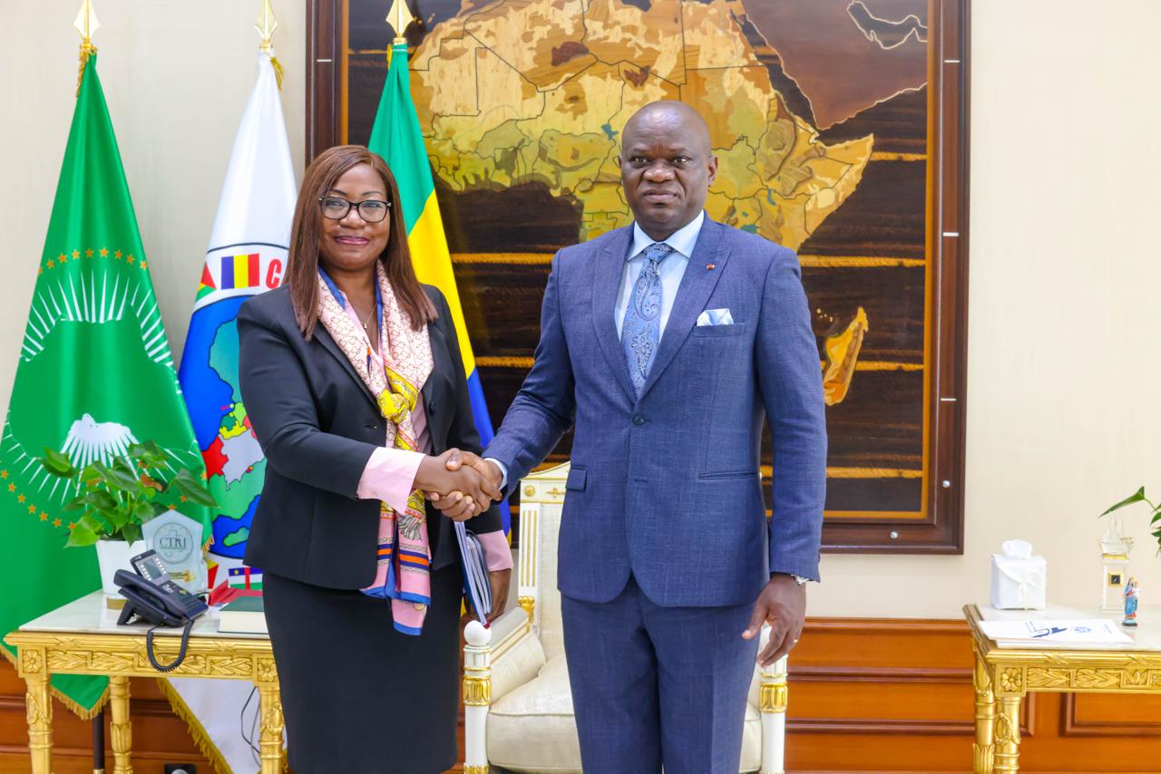 Le Président du Gabon reçoit une délégation de la BAD